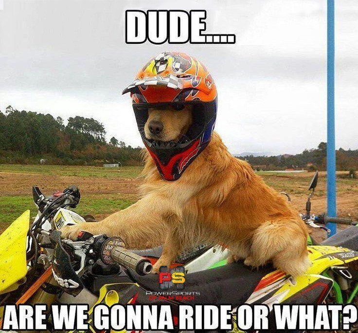 Dude, are we gonna ride?